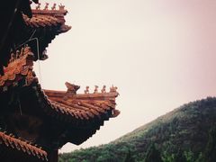 -北京十三陵国家森林公园蟒山景区