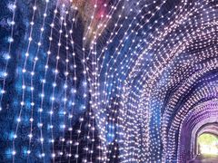 -栾川竹海野生动物园