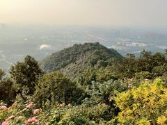 -杭州半山国家森林公园