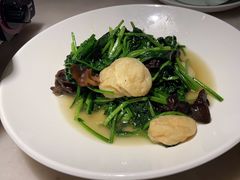 -東大方(湖州白鹭迎店)