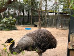 -上海动物园(地铁站)