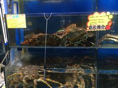-蚝专家(北滘店)