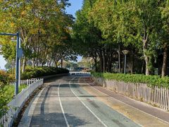 -贡湖湾湿地公园