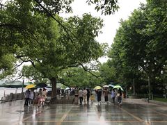 -杭州君悦酒店