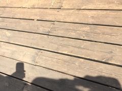 -云南师范大学(一二一西南联大校区)