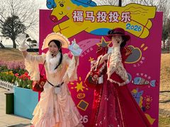 -荷兰花海