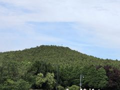 -秦始皇帝陵博物院-丽山园