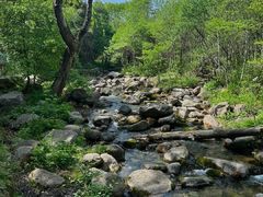 -玉渡山自然风景区