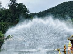 -西双版纳原始森林公园