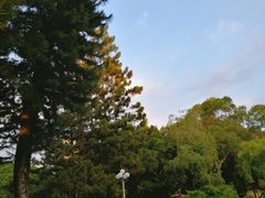 -人民公园(罗湖区)