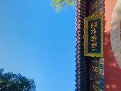 -灵谷景区
