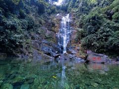 -鼎湖山风景区