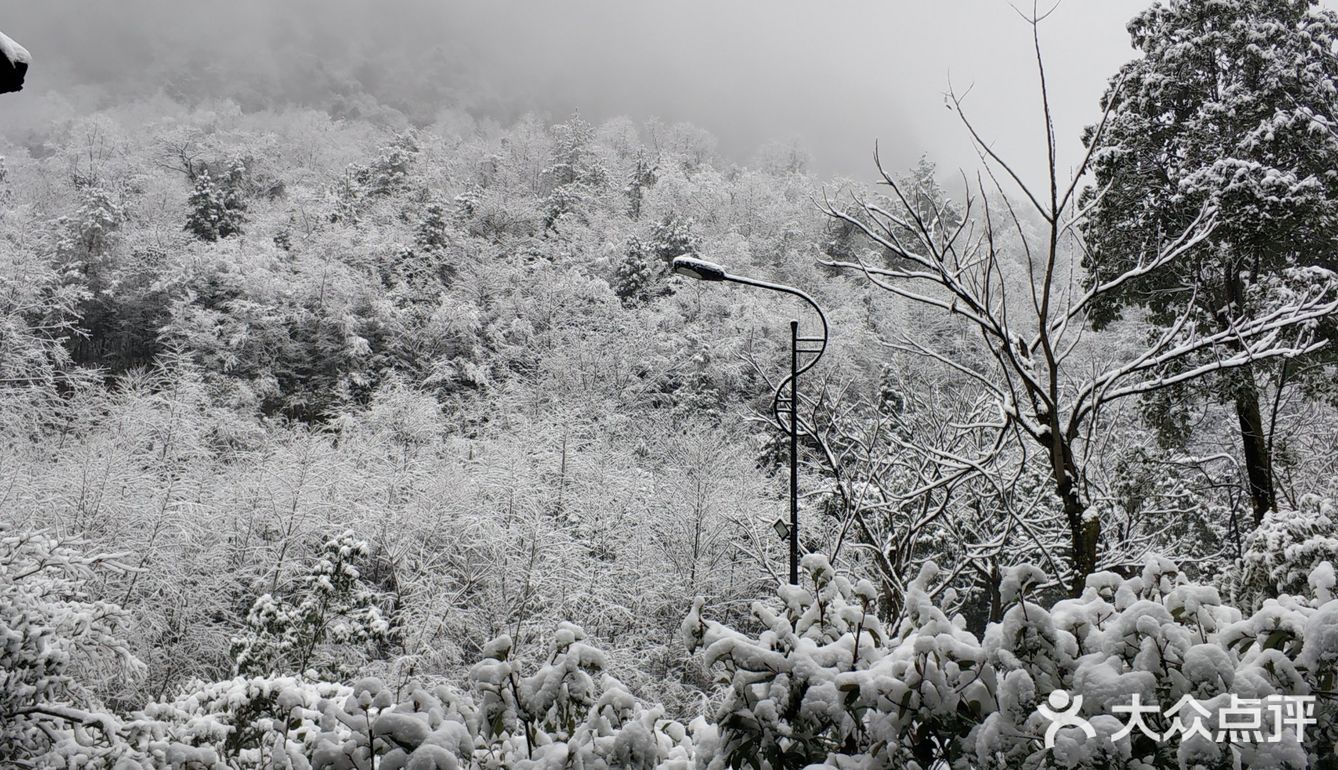 不滑雪也要带滑雪手套，暖宝宝