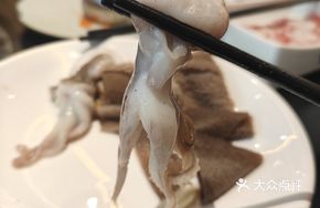 Fresh Squid from Beihai
