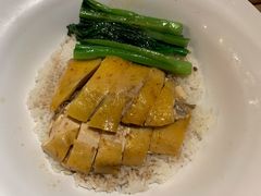 白切龙江鸡饭-大家乐(佛山普君店)