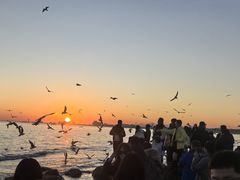 -老虎石海上公园