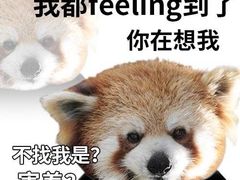 -上海柏悦酒店