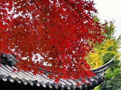 -常熟方塔园
