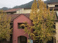 -重庆南山海昌汤都