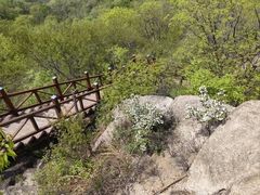 -大岭沟猕猴桃谷风景区