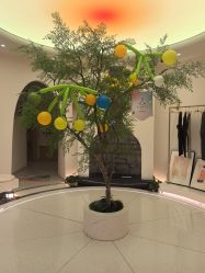 -亦美瑜伽·普拉提