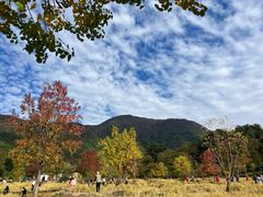 -塔川景区