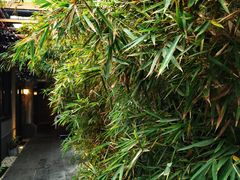 -秋果四合院酒店(北京王府井协和医院店)