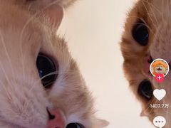 -达爱动物医院·犬猫分区·CT·复杂眼科(远洋山水分院)