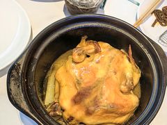 沸腾鸡香煲-沸腾鱼乡(知春路分店)