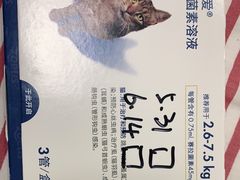 -凯特喵百思猫专科医院