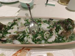 荠菜烩笋壳鱼-蝶园·装修中(BFC外滩金融中心店)