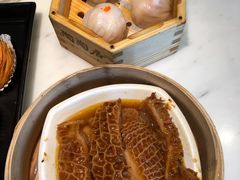 -陶陶居酒家(海岸城店)