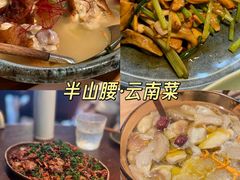 -海南霸王岭国家森林公园