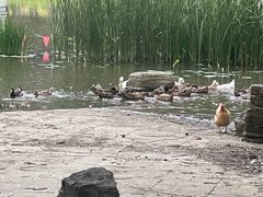 -仁和公园(顺义区)