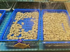 -北李妈妈菜·海肠捞饭(高新万达店)
