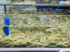 -常家活海鲜小吃(仅一家无分店)