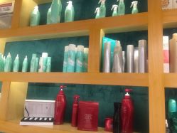 点击看大图 -PE SALON