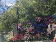 -秦岭天竺山生态文化旅游景区