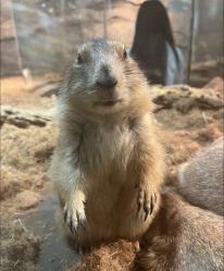 -Zoolung Zoolung动物主题公园(海信广场店)