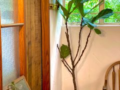 -MAISON门前杂货店