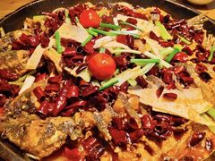 -老板恋上鱼(荣盛广场店)