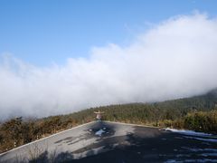 -武陵山森林公园