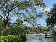 -中国科学院西双版纳热带植物园