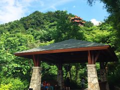 -神光山国家森林公园