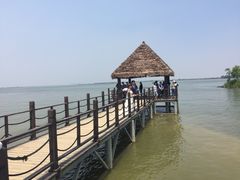 -瑶湖郊野森林公园
