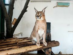 -云南野生动物园