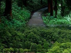 -青城山