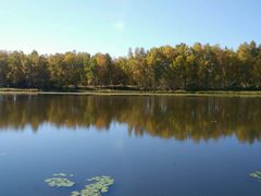 -塞罕坝国家级自然保护区