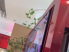 -老板恋上鱼(恒隆广场店)