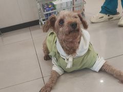 -艾贝尔宠物医院 ·中兽医·宠保定点(北门桥店)